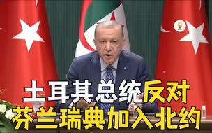 土耳其总统反对芬兰瑞典加入北约