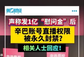 辛巴快手直播权限被永久封禁？相关人士回应