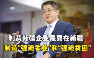 外交部：制裁新疆企业是要在新疆制造“强迫失业”和“强迫贫困”