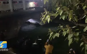 济宁16岁少年落水，他三次跳入冰冷河水中救人，成功后开车离开