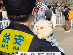 3月19日，天津，主人带猫咪去看桃花，不料宠物不让进，无奈只好让门口的安检员帮忙看着小猫，网友： 感觉她俩彼此都有点不愿意#猫咪的心思都写在脸上了
