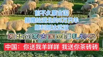 羊来茶往”！湖北向蒙古国回赠物资！中蒙友谊地久天长！抗疫加油