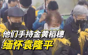 他们手持金黄稻穗缅怀袁隆平