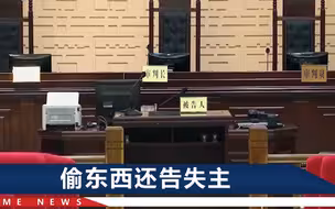 小偷被失主追到撞树：你的东西又不值钱，得赔我2.1万住院费