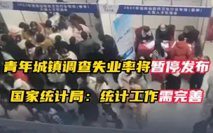 青年城镇调查失业率将暂停发布 国家统计局：统计工作需完善