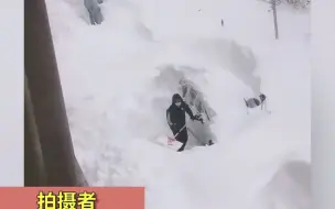 暴雪后居民开盲盒式挖车！网友：真怕挖错了！
