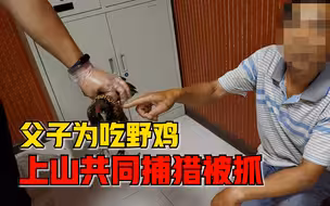 父子为吃野鸡上山共同捕猎被抓，警方：系国家野生保护动物