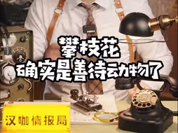 攀枝花确实是善待动物了