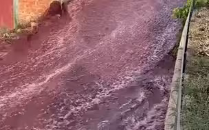 红酒成河！葡萄牙一酿酒厂酒罐爆裂，街道汇成一条红酒河流
