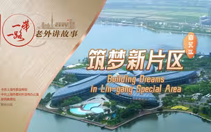 筑梦新片区：开放高地，融通世界