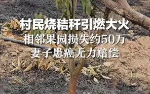 村民烧秸秆引燃大火相邻果园损失约50万，妻子患癌无力赔偿