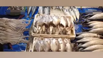 为证明达排放标准 东京电力以试验用核污水养比目鱼和鲍鱼