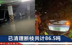 实拍杭州暴雨：208棵树木被吹倒，行人被强风瞬间掀翻