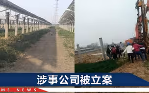 百亩麦地因建光伏电站被强铲？官方通报结果：多名领导干部被罚