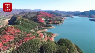 宛如油画！平谷晚秋的绚丽美景