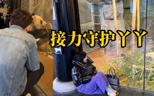 在美华人纷纷到孟菲斯动物园看望丫丫，希望丫丫在回国前吃饱