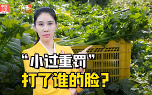 三农锐评丨挣14元，罚10万元，“小过重罚”打了谁的脸？
