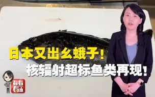 东京奥运圣火传递又出幺蛾子？首发站福岛再现核辐射超标鱼类