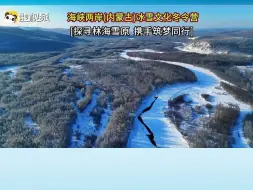 海峡两岸(内蒙古)冰雪文化冬令营探寻林海雪原 携手筑梦同行
