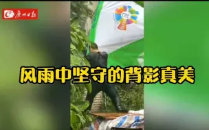 狂风暴雨中，你坚守的背影真美