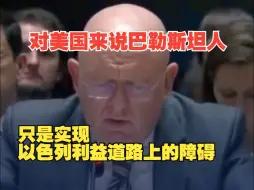 俄方：美否决巴勒斯坦入联暴露其真实态度，对美国来说，巴勒斯坦人不配拥有自己的国家