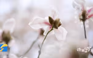 诗画二十四节气•惊蛰｜一声鸣，万物醒，天澄水碧沐春风