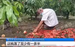 都市报道【七旬村医坚守防疫一线 ，自家桃子掉落一地，眼神让人心疼...帮帮他。】