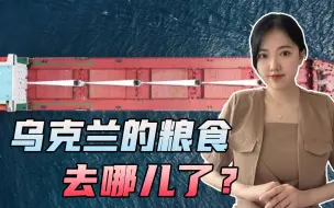 粮食危机解决了吗？普京的话一针见血，乌克兰的粮没运到贫穷国家