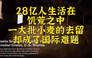 28亿人生活在饥荒中，一大批小麦的去留却成了国际难题