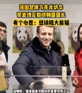 法国总统马克龙访华带着动物园园长，原来有个心愿：想续租大熊猫！