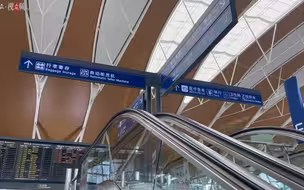 浦东机场“排队超千米”？摄影记者去现场看了看……