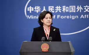 外交部谈加方“任意拘押宣言”：是其承认在孟案上错误的自白书