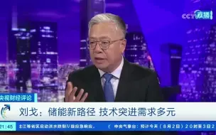 刘戈：新能源应用，多种组合多种场景