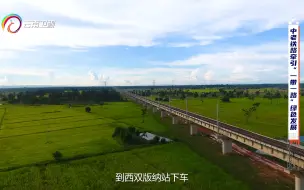 走进野象谷站，这是中老铁路上特殊的一站。