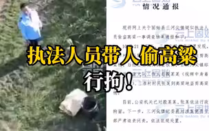河南一执法人员偷高粱被行拘