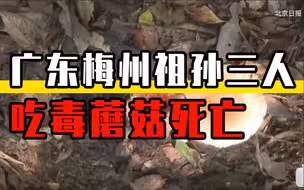 广东梅州祖孙三人吃毒蘑菇死亡，专家：可能吃了致死率70%红菇