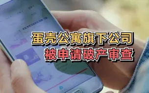 蛋壳公寓旗下公司被申请破产审查