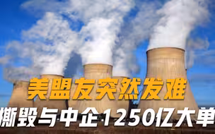 一分违约金也不想掏？美国盟友突然发难，撕毁与中企1250亿大单