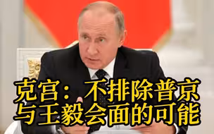 克宫：不排除普京与王毅会面的可能
