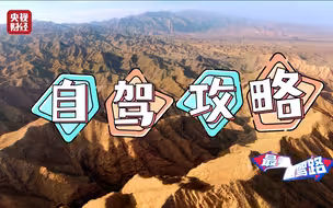 攻略来了！#宁夏最美自驾路 一起#在宁夏穿越千年时光