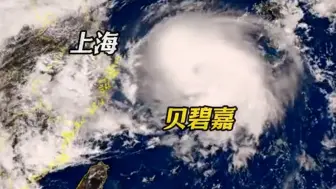 风眼欲出！“贝碧嘉”将在浙沪沿海登陆 上海取消航班西湖边钢管撑树