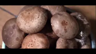 古法手工酱 下面馒头好搭档