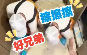 山东90后双胞胎成立家政公司 全员小伙儿 整理过程太治愈！