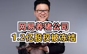 网易养猪公司1.2亿股权被冻结