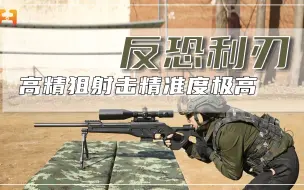百米10环！高精狙射击精准度极高，堪称百步穿杨利器
