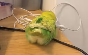 失足虎皮