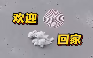 欢迎回家！神舟十五号返回舱成功着陆 乘组状态良好