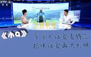 《今日影评》评《小Q》：导盲犬让爱看得见，拒绝让爱再次失明
