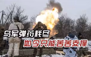 3万俄军挺进顿巴斯，乌军前期毫无节制使用炮弹，如今只能挨打