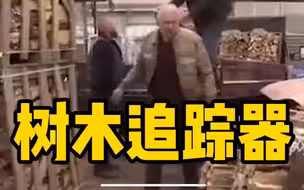 能源价格上涨导致木柴盗窃增多，德国为防盗窃给树木植入追踪器